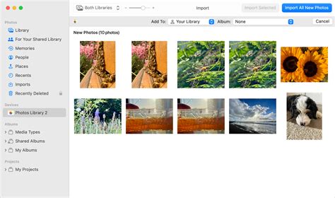 Import photos to your library .